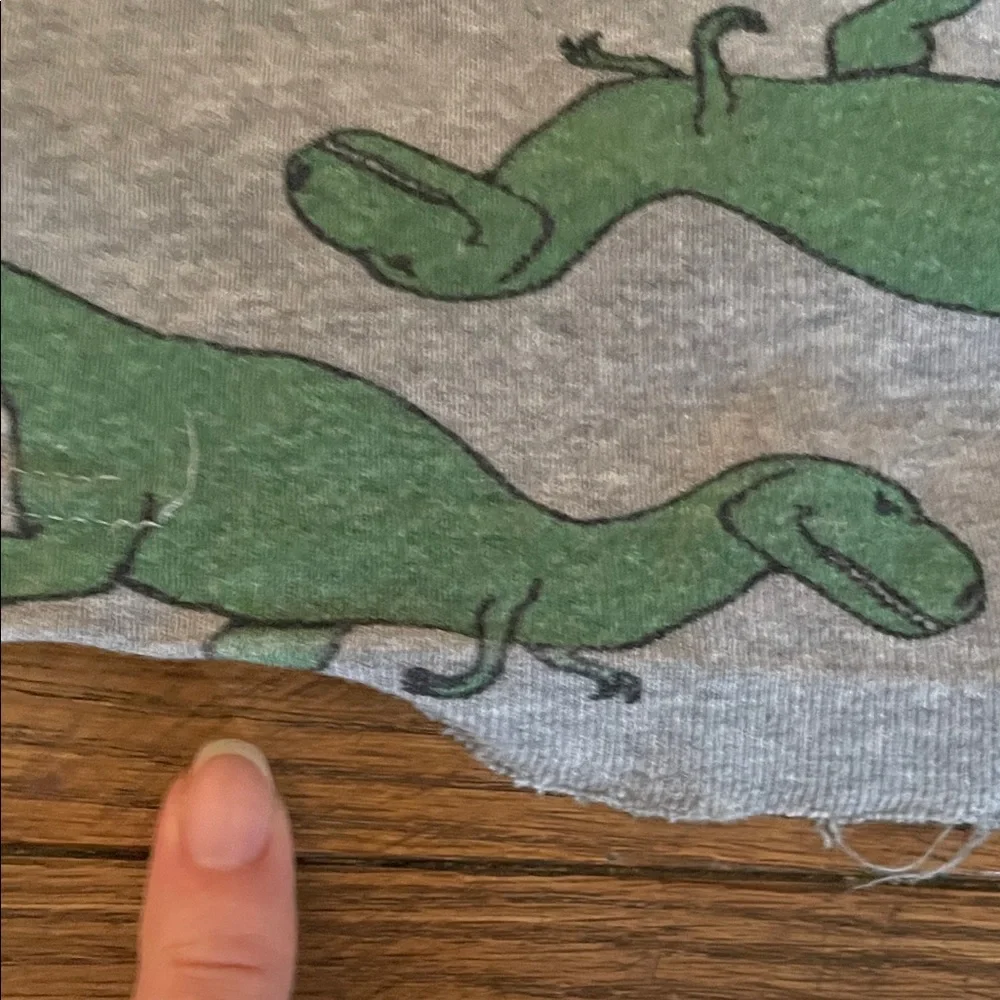 Hanna Andersson Green Dinosaur Pajama Set